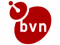 bvn